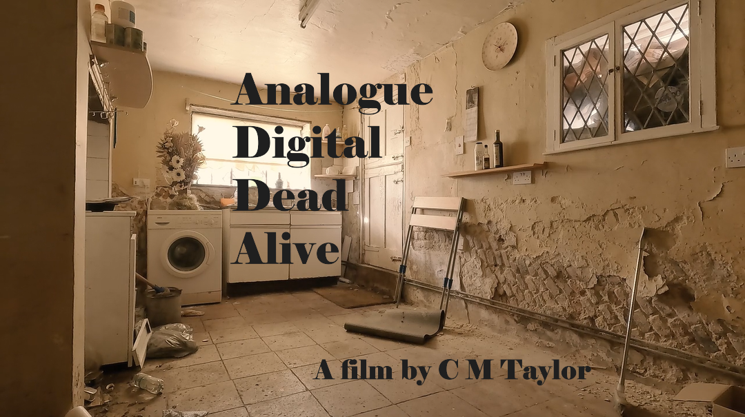 Analogue Digital Dead Alive poster